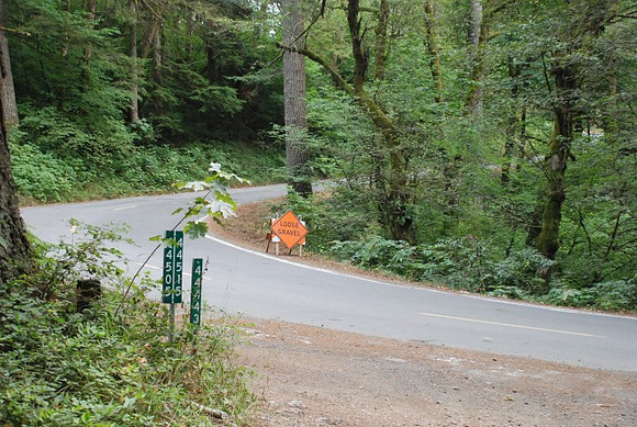 Haines Road-0932