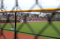 Hillsboro Baseball
