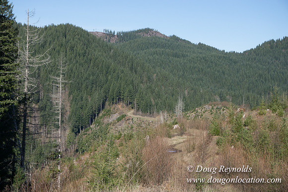 ODF DM View Trail