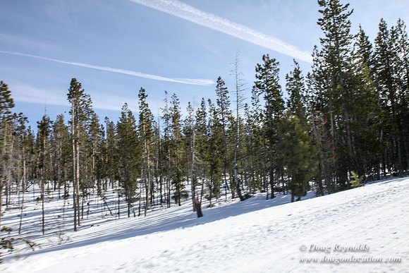 3 creeks Road in Snow