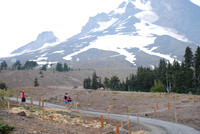 OL lot Timberline-0776