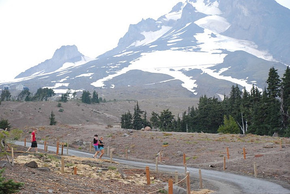 OL lot Timberline-0776
