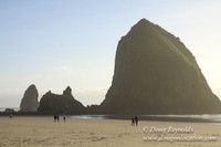 33 Beach CB5-1472