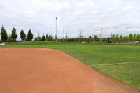 Hillsboro Baseball