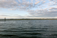 Vancouver Lake Park
