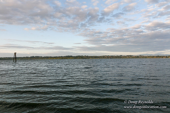 Vancouver Lake Park
