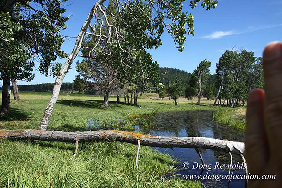 2500 Acres of green fields Creeks water crossing Bridges on a Large Lake and miles of Dirt roads Oak trees Forest land ATV Trails cows