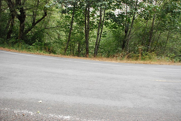 Haines Road-0897