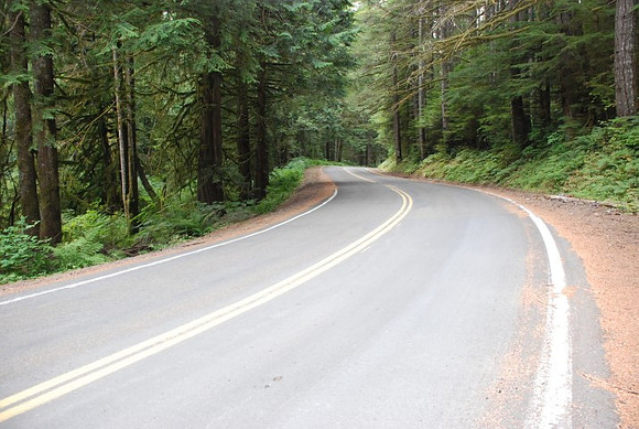 Brower Road-0999