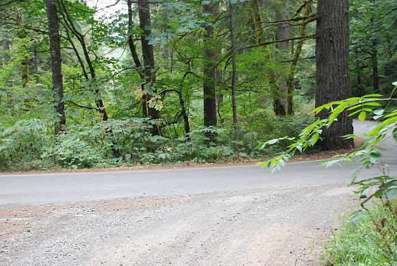 Haines Road-0933