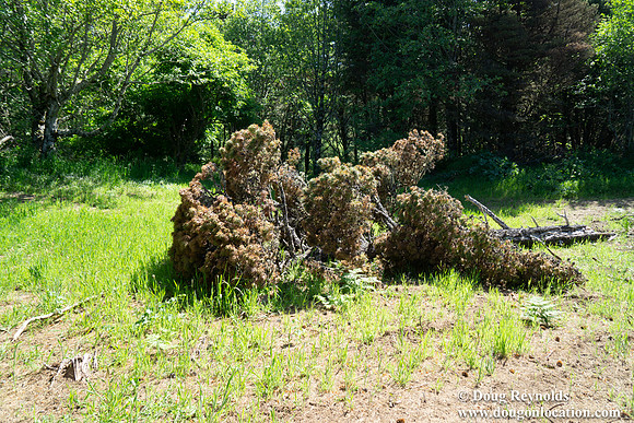 Ranch 26 North Overlook