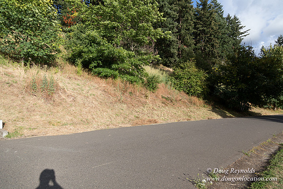 Mt Tabor- View 4 West