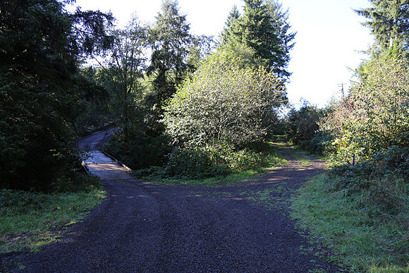 Neahkahnie Cr Rd-0882