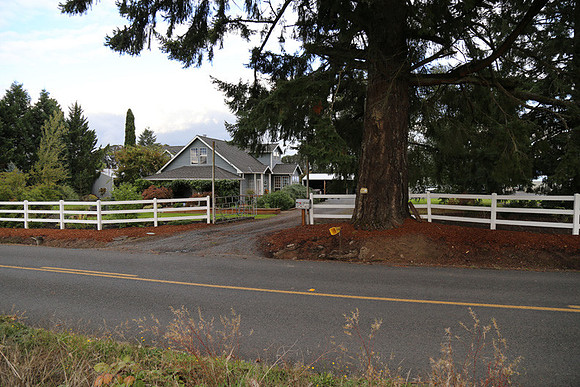 Dilly Rd-1545