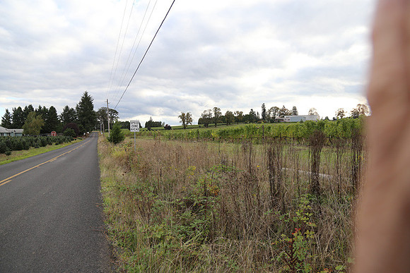Dilly Rd-1564