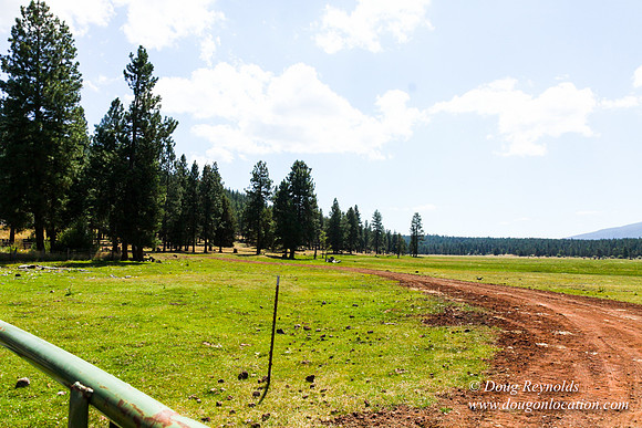 Ranch 18