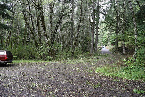 Shields Rd-0149