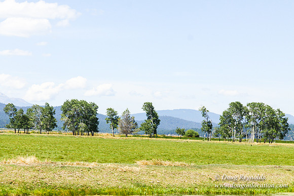 Ranch 18