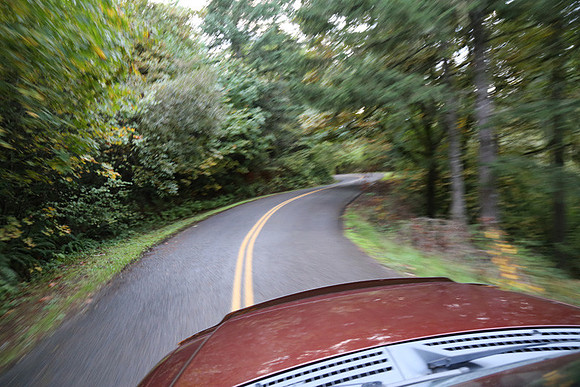 Woodland Ln-1760