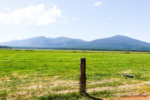 Ranch 18