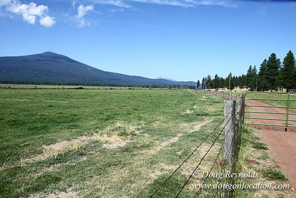 2500 Acres of green fields Creeks water crossing Bridges on a Large Lake and miles of Dirt roads Oak trees Forest land ATV Trails cows
