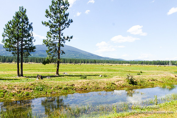 Ranch 18