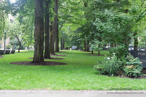 Portland Streets