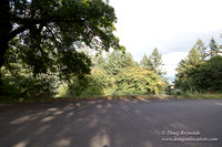 Mt tabor View 2 East