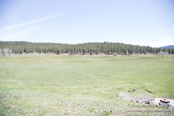 Ranch 18
