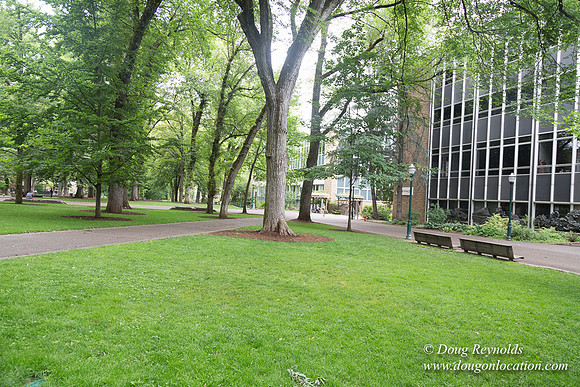 Portland Streets