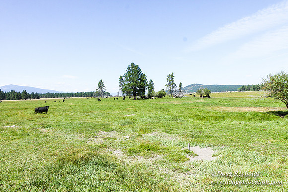 Ranch 18