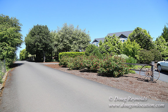 Scotts House-5372