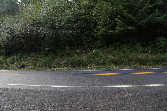Hwy 53-0541