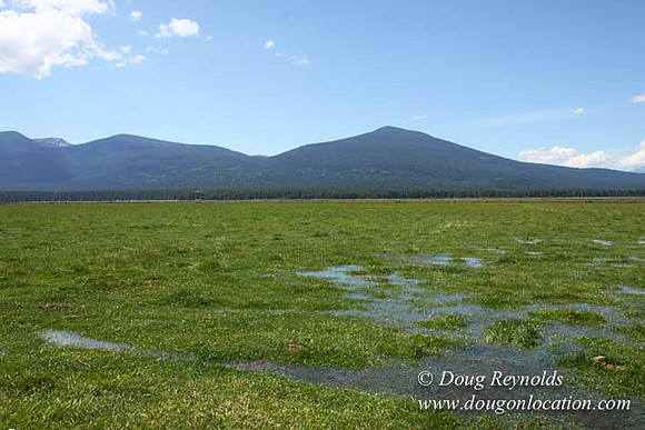 2500 Acres of green fields Creeks water crossing Bridges on a Large Lake and miles of Dirt roads Oak trees Forest land ATV Trails cows