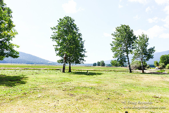Ranch 18