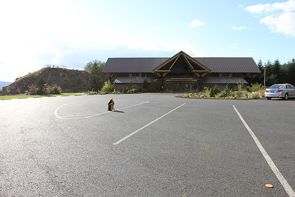 Elk View 360 Look in-4628