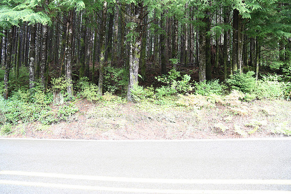 Hwy 53-0392