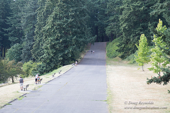 Mt Tabor- View 5 SBT West