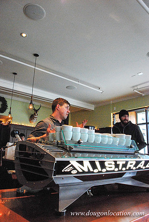 Barista on Alberta