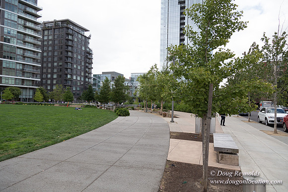 The Fields Park