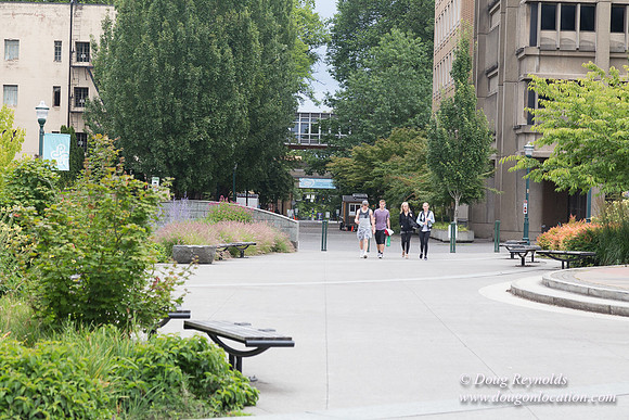 Portland Streets