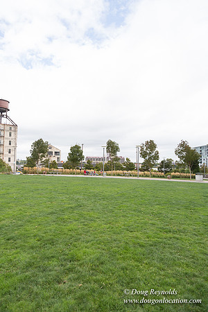 The Fields Park