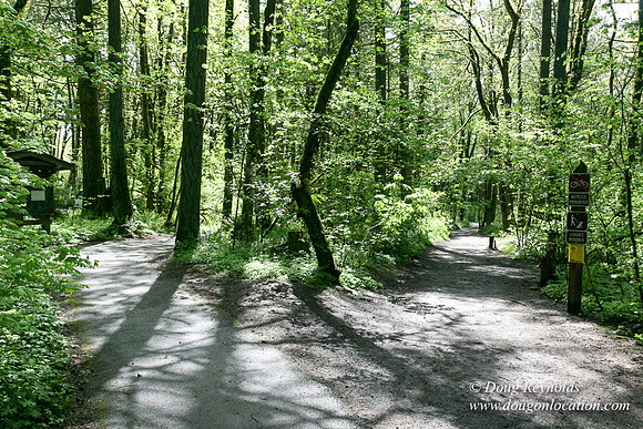 Tryon State Park