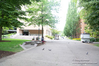 Portland Streets