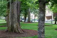 Portland Streets