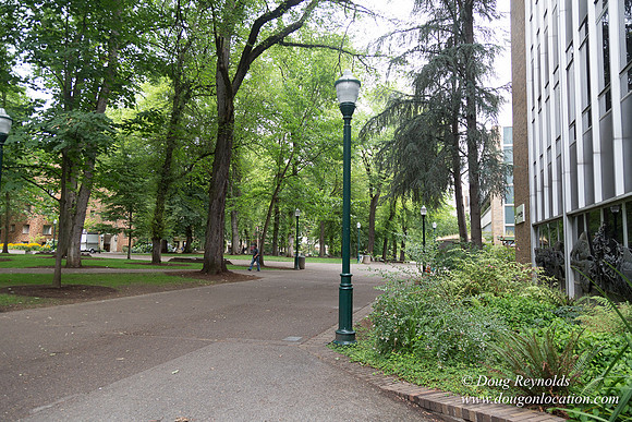 Portland Streets