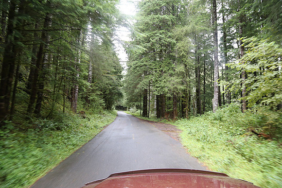 Saddle Mt Rd-0345