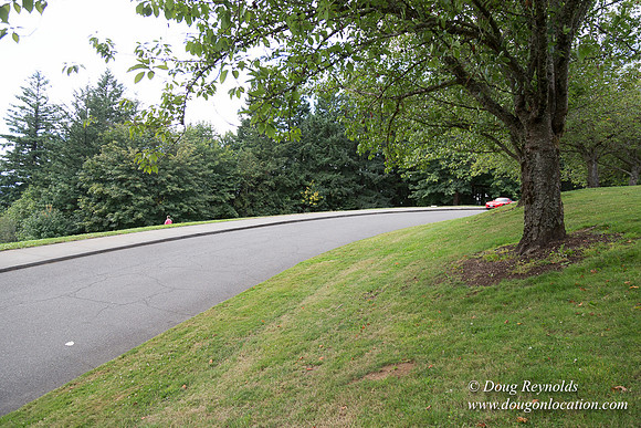 Council Crest Park View