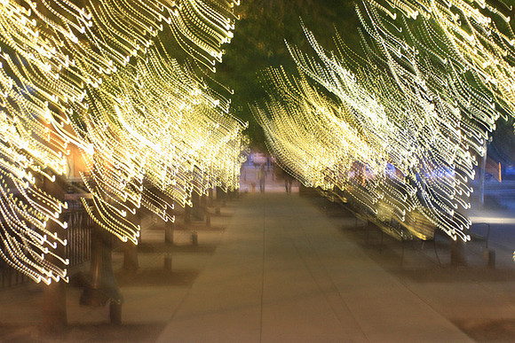 Jamason Park-6538