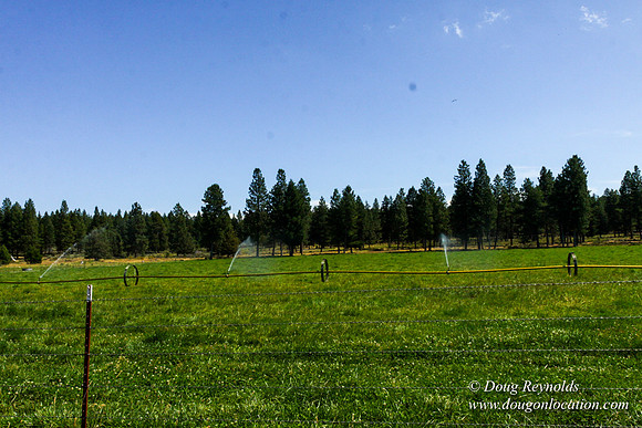 Ranch 18